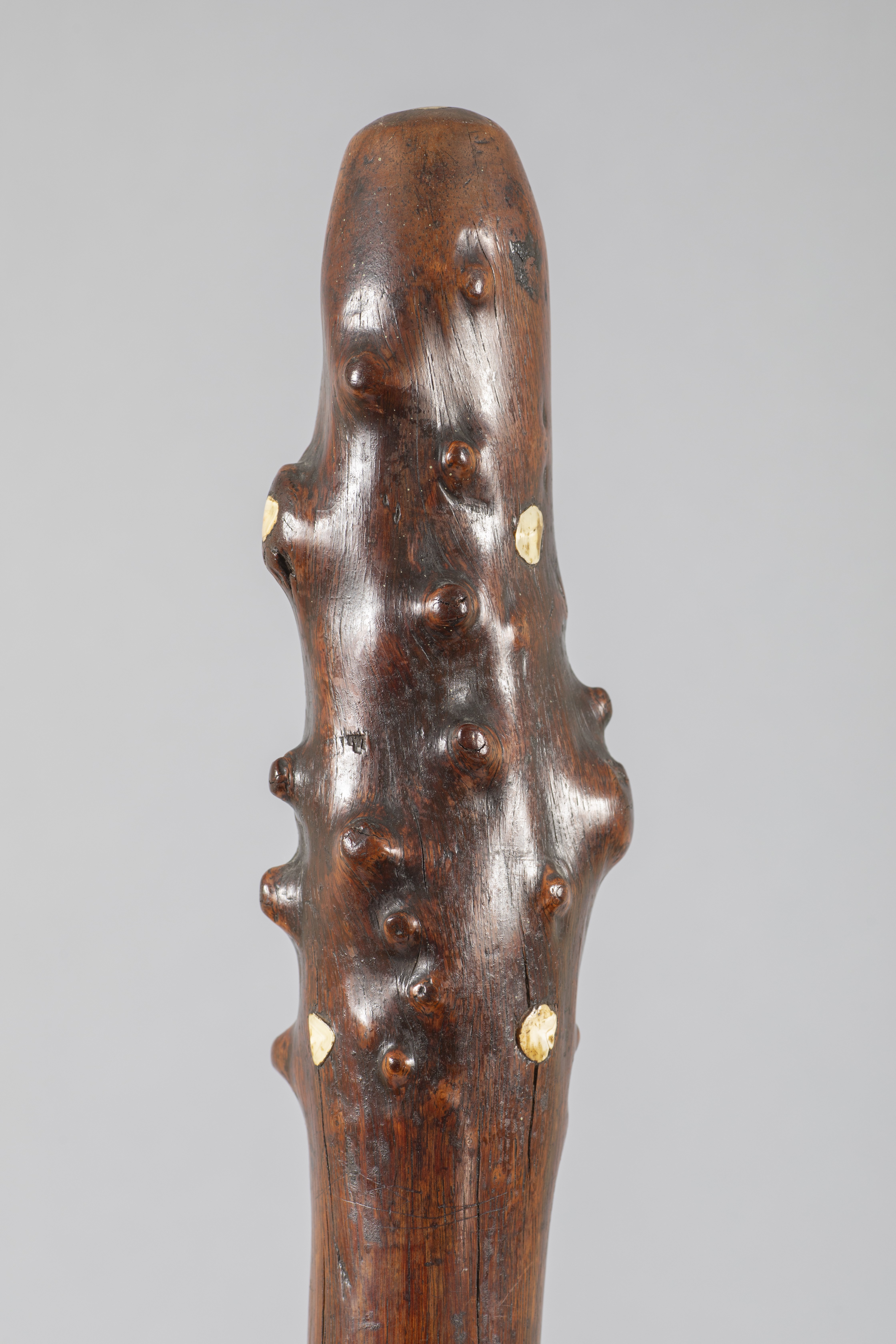 FIJI Dromudromu with Human Teeth